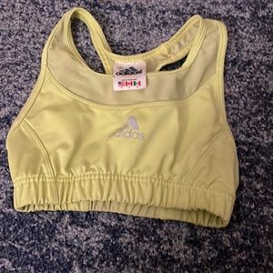 sports bra